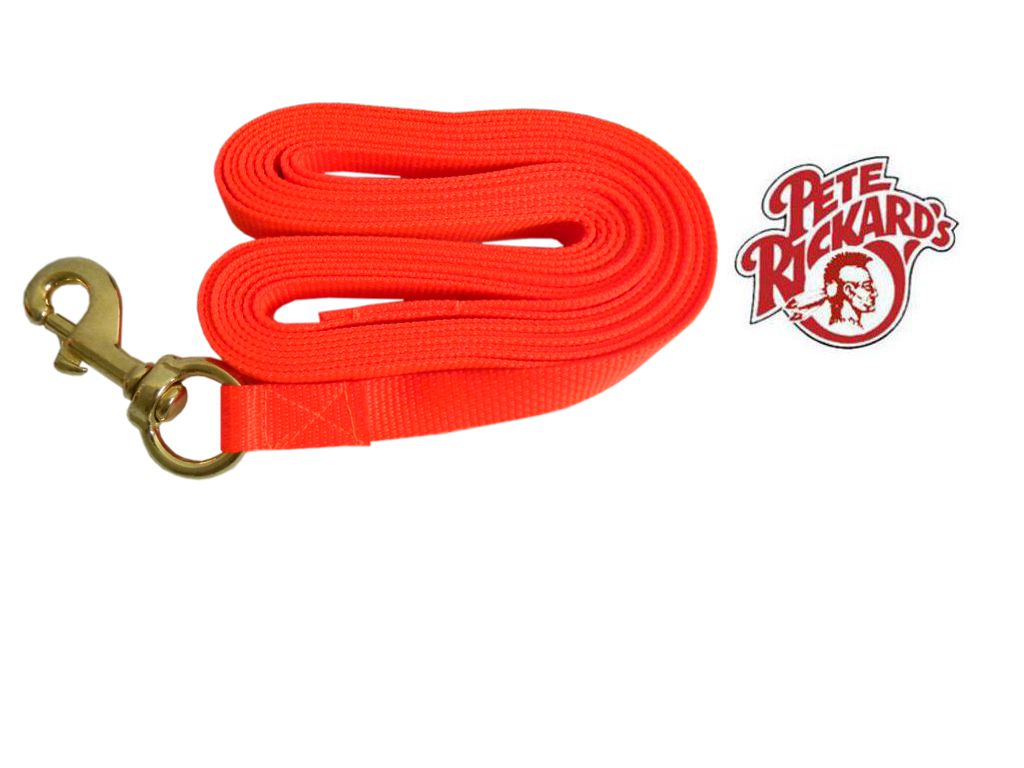 Dog lead, 15 ft