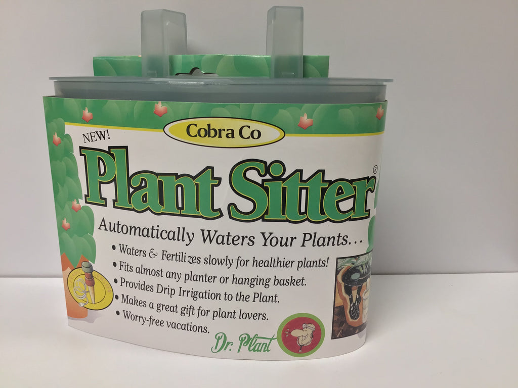 Plant sitter (self watering)