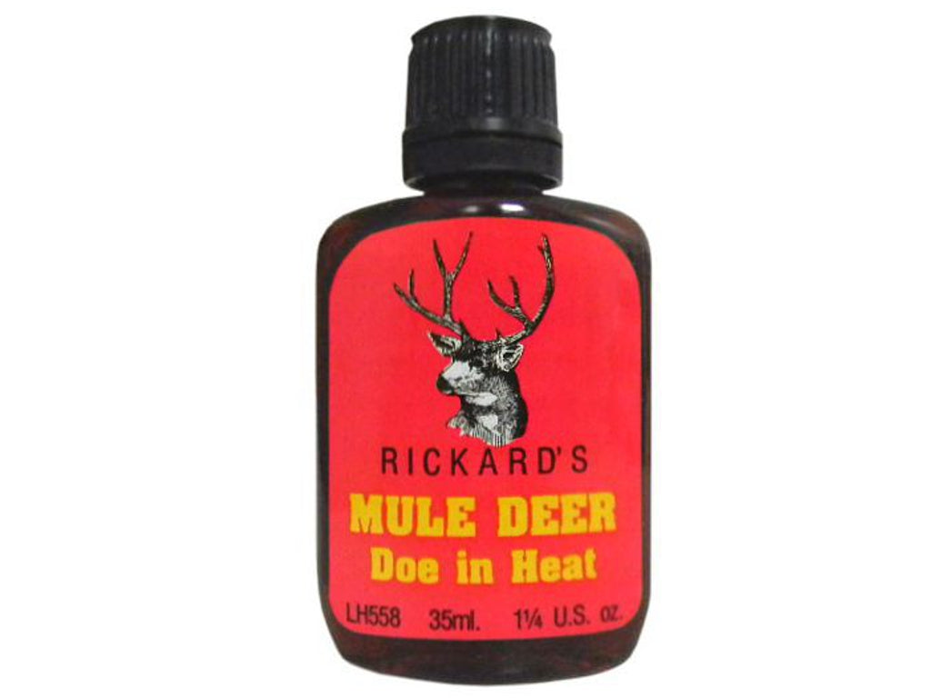 Mule Doe in heat